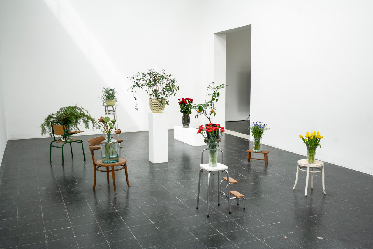 The Penultimate